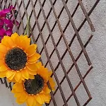 Casa Elbi Nyaraló *