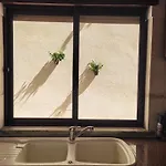 Casa Elbi *