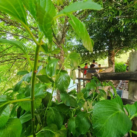 Casa Elbi * Figueiró dos Vinhos