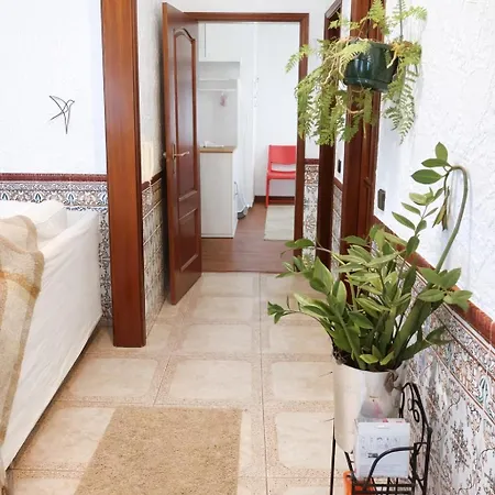 Casa Elbi Figueiró dos Vinhos